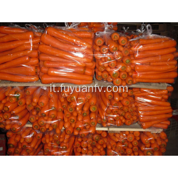 Taglia la carota fresca